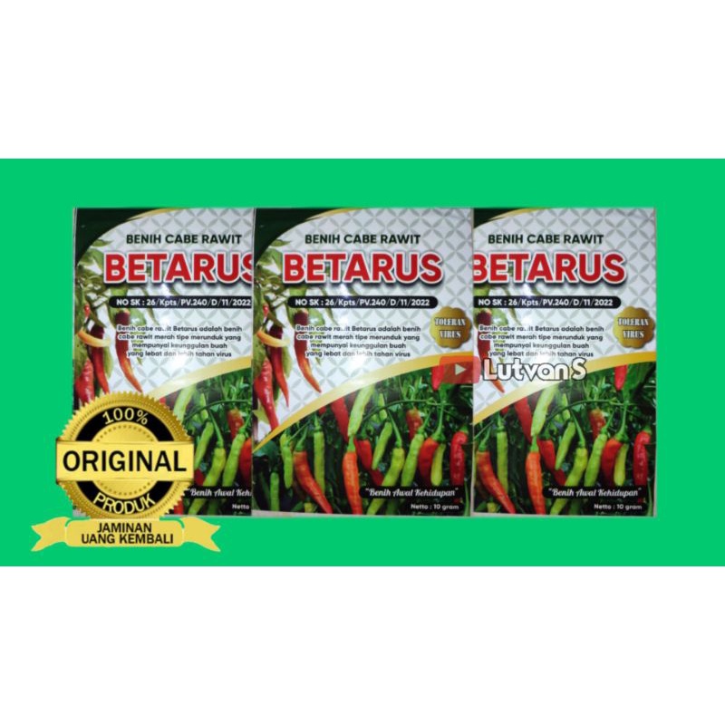 ID BENIH CABE RAWIT BETARUS 10GR. BENIH RAWIT TAHAN VIRUS