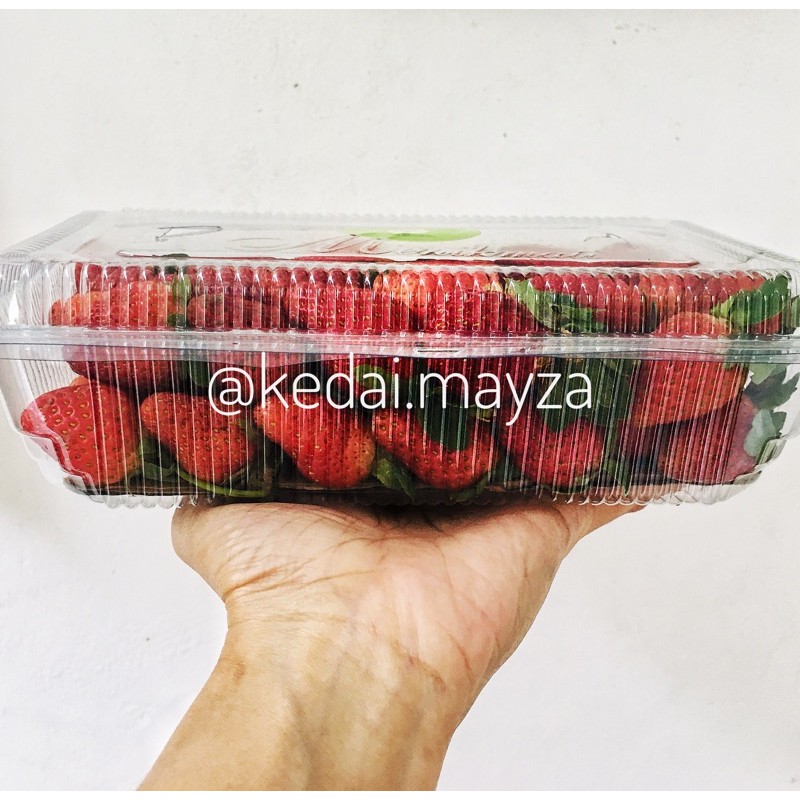 

Strawberry Stroberi Fresh 500 gram