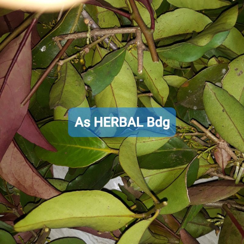 

Paket 1 kg benalu jeruk nipis segar asli fresh-az