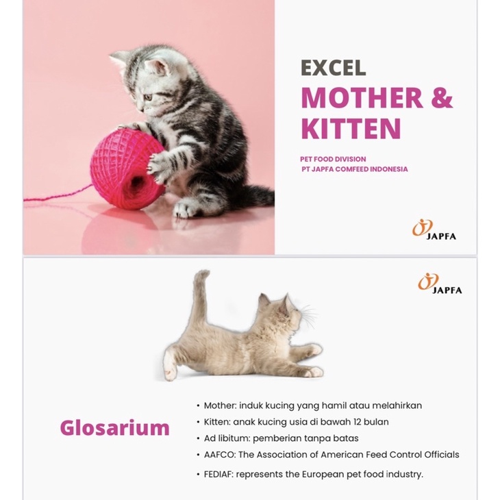 EXCEL MOTHER And KITTEN makanan kucing ibu dan anak kucing