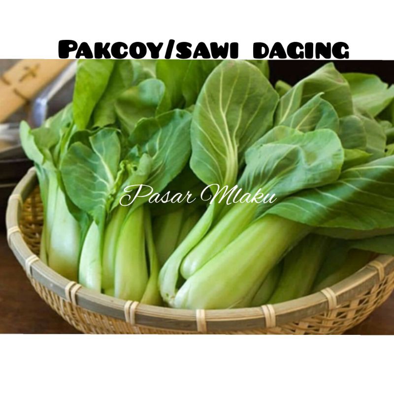 

PAKCOY/SAWI DAGING
