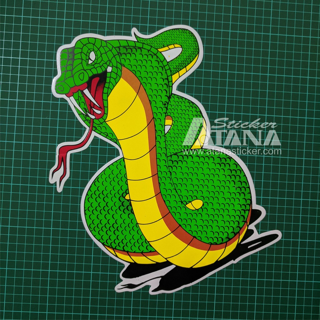 Stiker Printing Sablon Jumbo Vinyl Ular Naga Cobra Sanca Snake Dragon Motor Mobil Dinding Kaca Shopee Indonesia