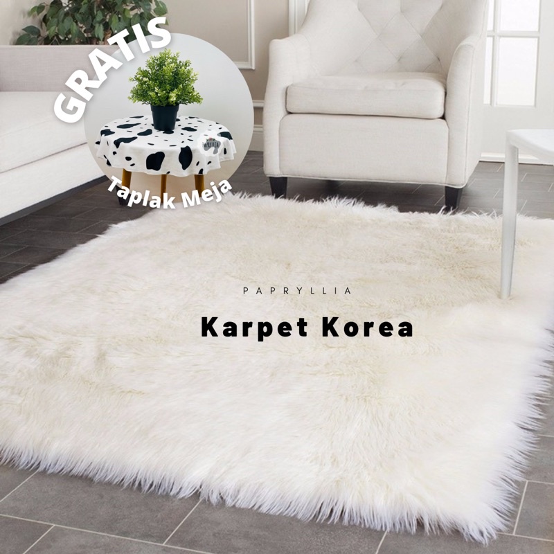 Krucils Store - Karpet Aesthetic Bulu Korea Karpet Lantai Bulu Panjang Karpet Kamar Bulu Tebal