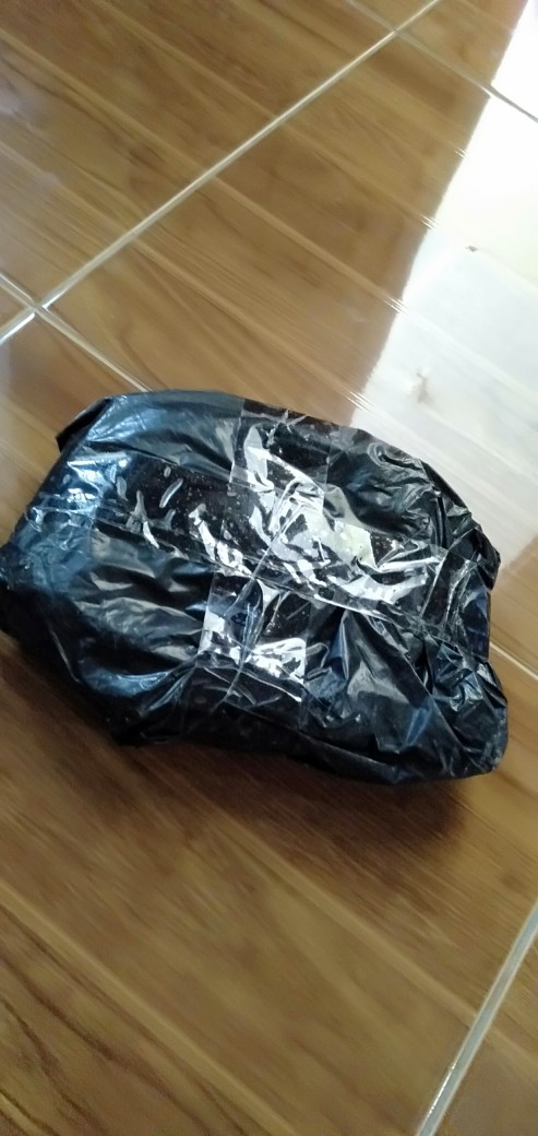 Selang Tukang Bangunan Per Meter Selang Air Aquarium Timbang 1/4 Inch Murah