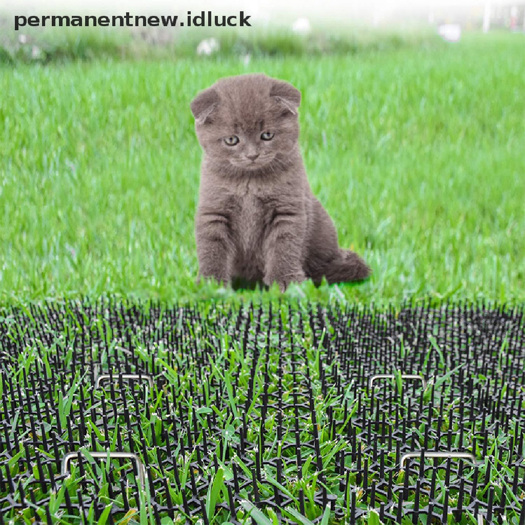 Tikar Paku Penggali Penolak Kucing Portabel Untuk Taman