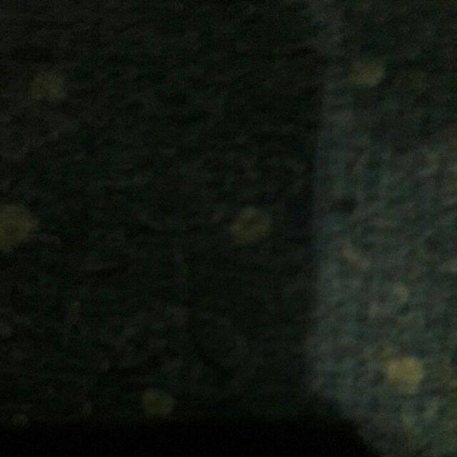 Ghui ~ Maharani#2 Family (ori Najwa)