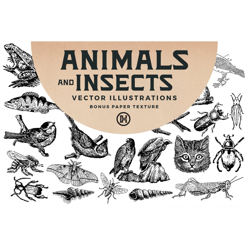 Animals And Insects Vectors - Photoshop &amp; Illustrator