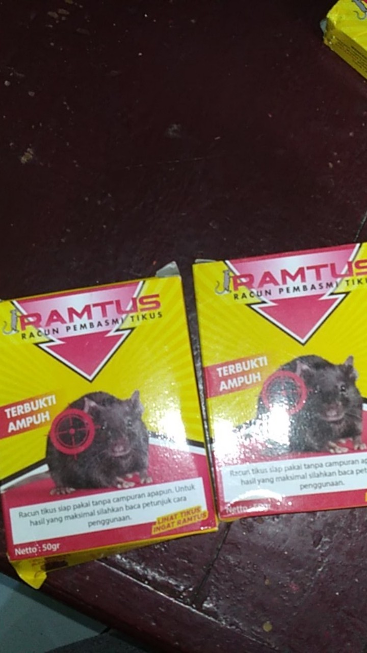 Ramtus Racun Tikus Ampuh Mati Kering Tidak Bau Pembasmi Curut Wirog Mencit Dirumah Di Mobil 2 Pack