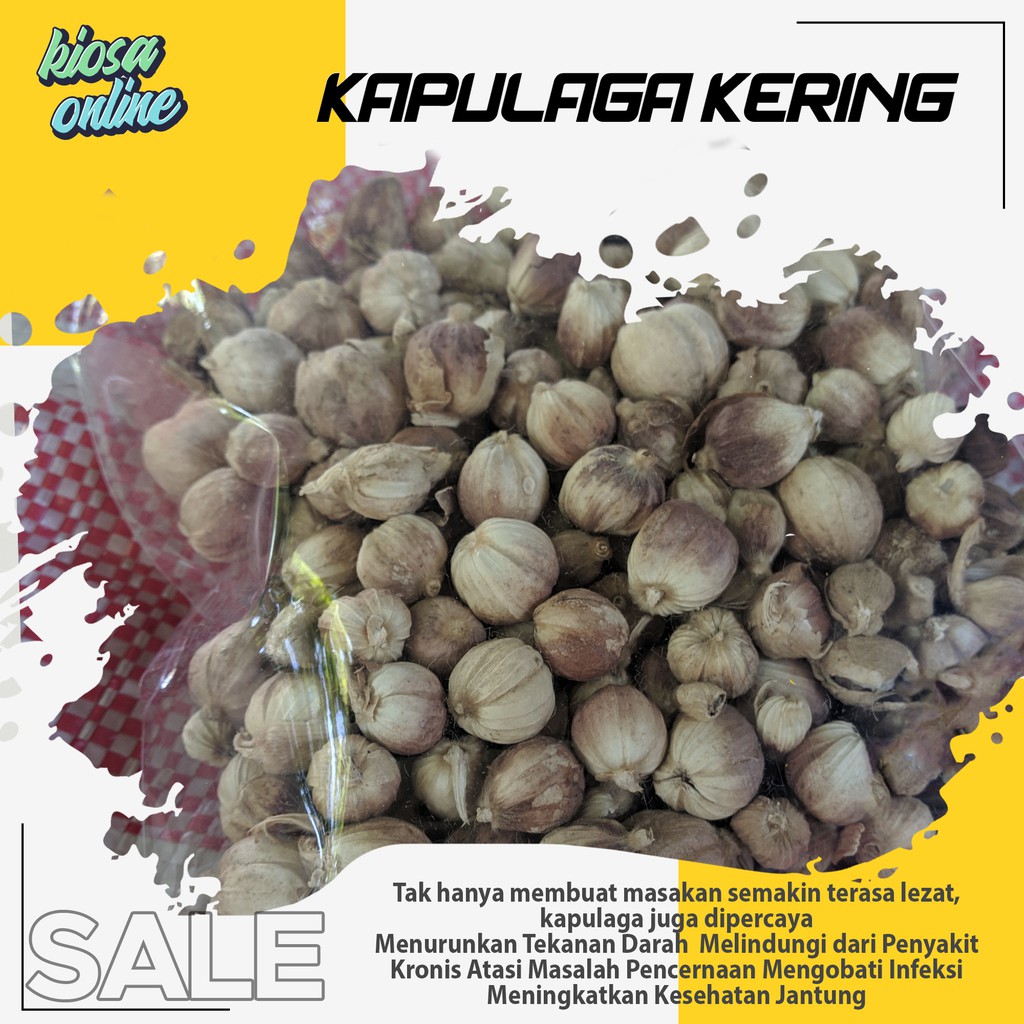 

kapulaga asli rempah kapulaga