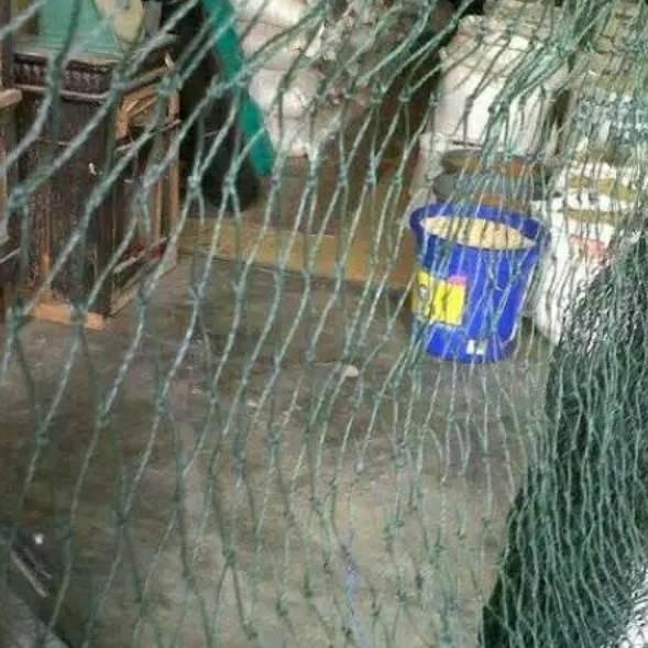 

Tren Kekinian.. Jaring Ayam (PANJANG 20-25M X LEBAR 2.5 METER)Jaring Pagar Ayam Jaring Pembatas Nylon