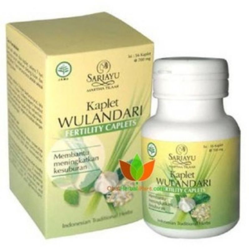 SARI AYU Kaplet Wulandari