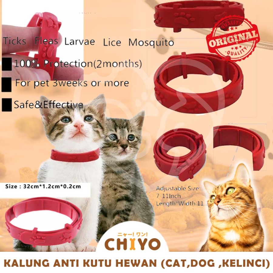 SACHIKO KALUNG ANTI KUTU HEWAN ( KUCING ,ANJING , KELINCI )