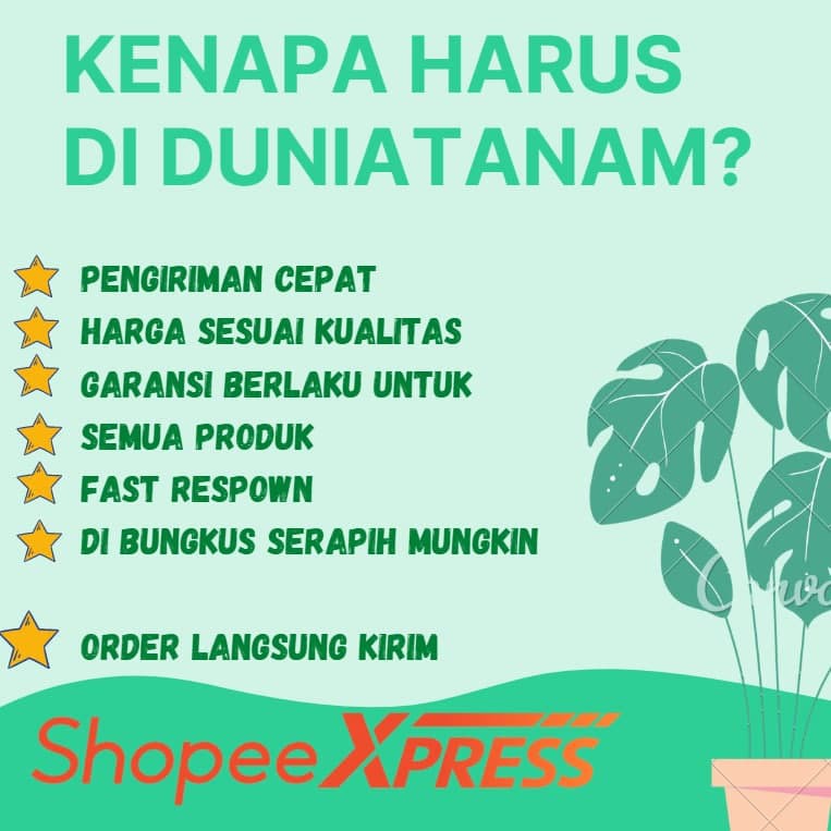 obat pestisida insektisida anti hama tanaman durshban dursban kutu putih ulat bulu decis