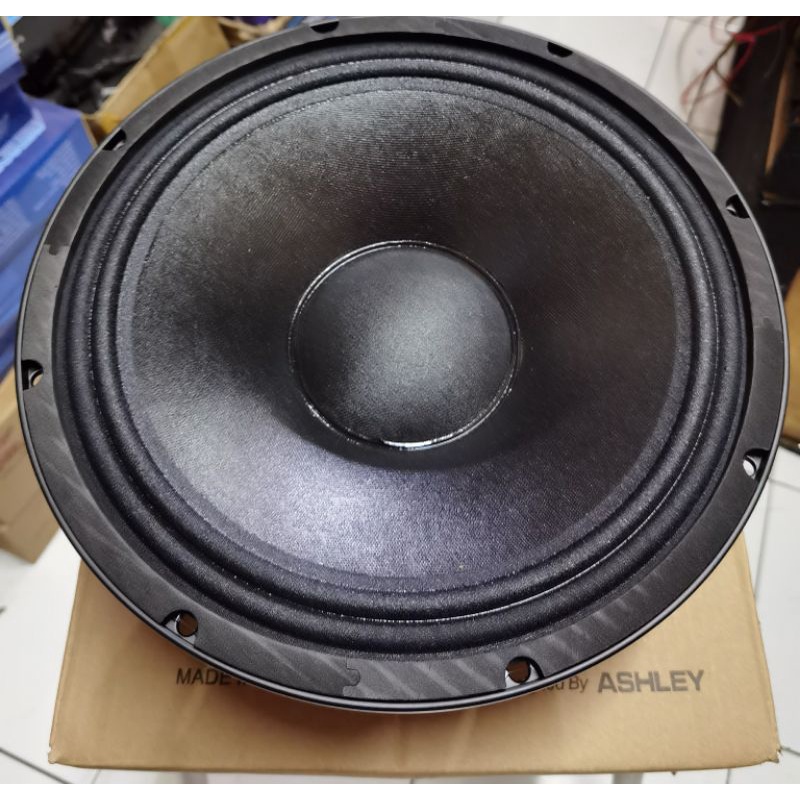 Speaker Ashley 12V300