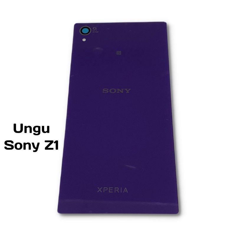 backdoor sony z1 big