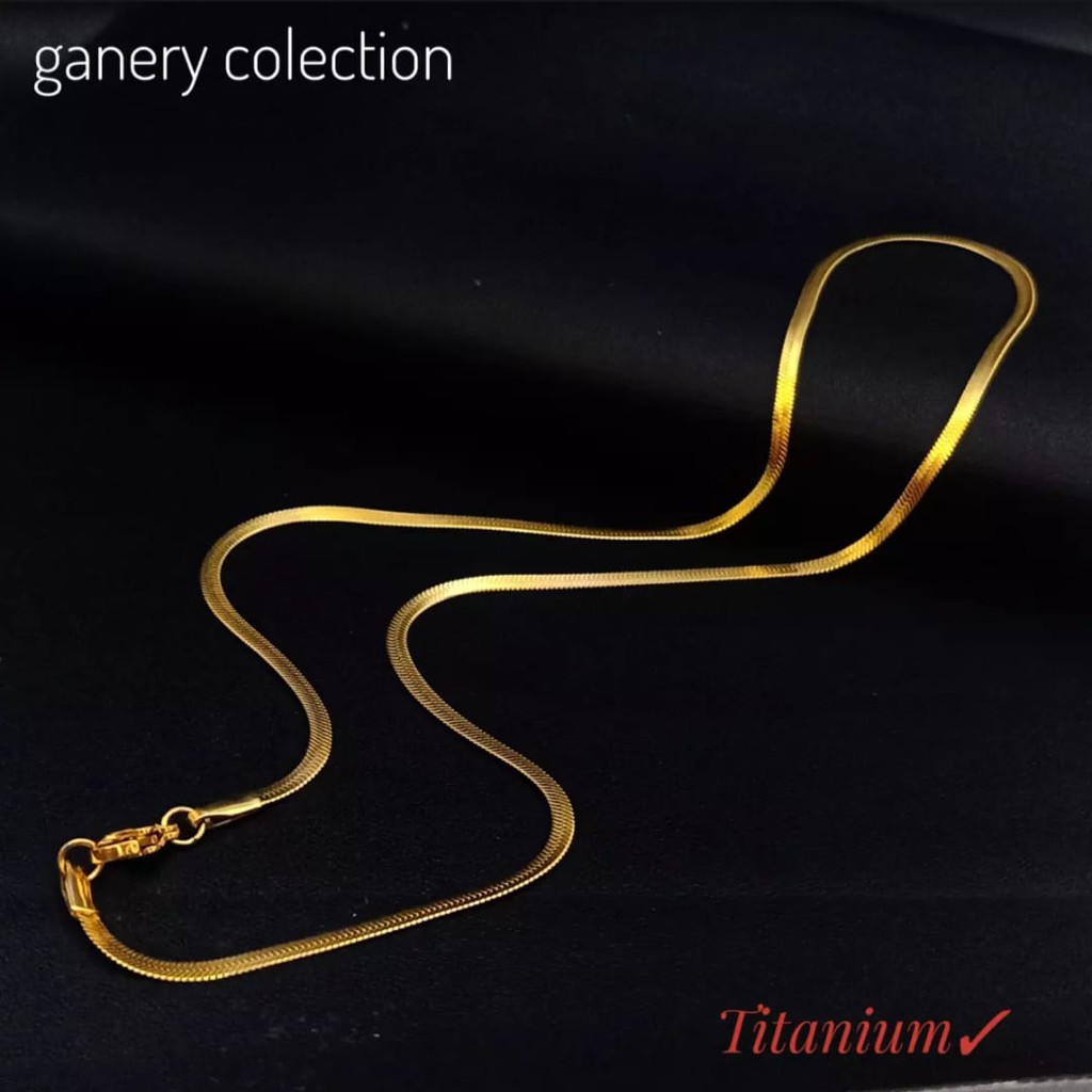 Ganery Kalung Titanium cassandra gepeng Pria Wanita Anti Karat Selamanya Silver/Gold Pipih 45/50/60Cm