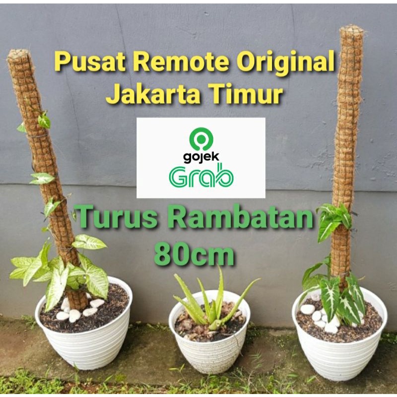 TURUS TIANG RAMBATAN TANAMAN 80cm KAWAT STRIMIN 80 cm