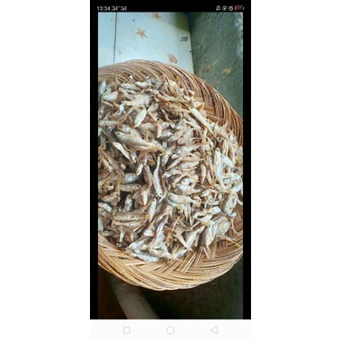 

IKAN BILIH GORENG DANAU SINGKARAK ASLI, IKAN BILIH DANAU SINGKARAK ASLI UNI EGA