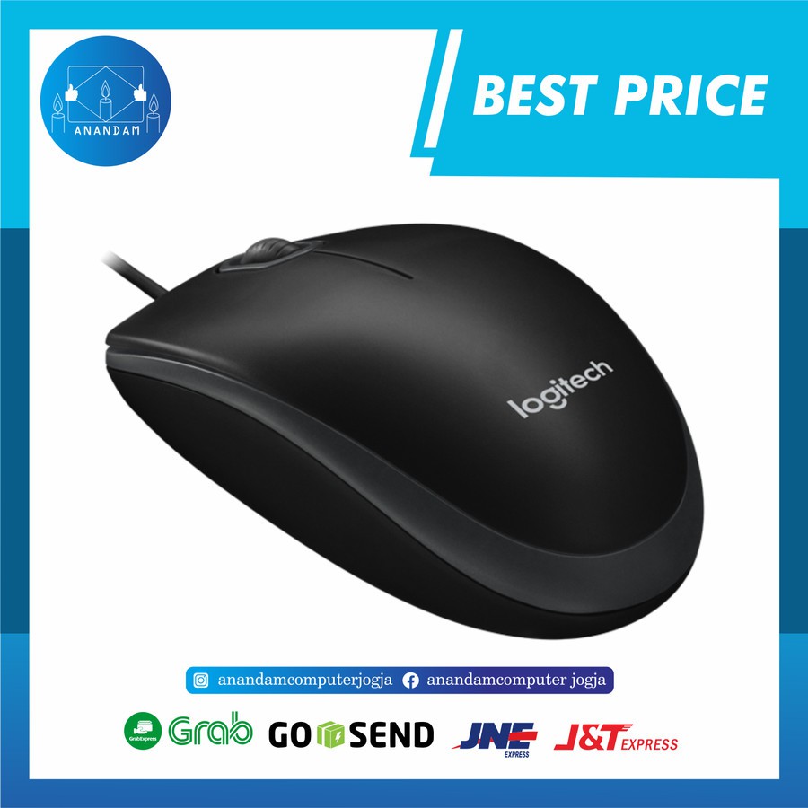 Logitech B100 Mouse