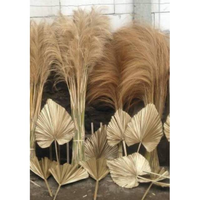 10 TANGKAI Dekorasi Rustik Tanaman Daun Kering Sikas Palem Gandum Ilalang