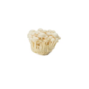 

Jamur Shimeji putih/Bunapi (0.15 kg per pack)