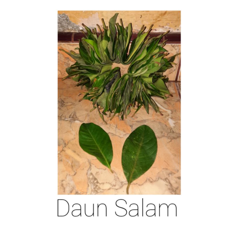 

Daun Salam