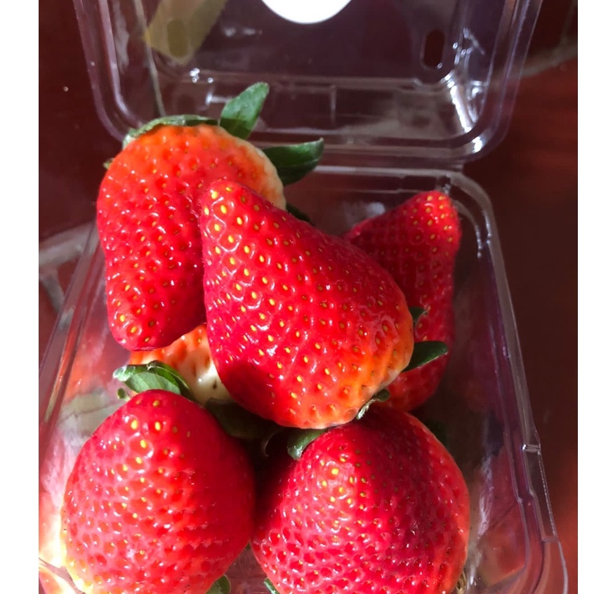 

Stroberi | Strawberry Australia Segar 250 Grm. Lebih Manis Dari Lokal