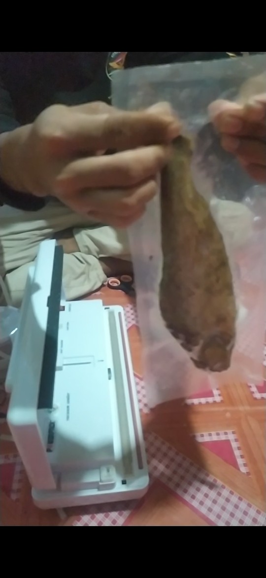 Powerpack Dz-280se Vacuum Sealer Mesin Pengemas Vakum Makanan Basah