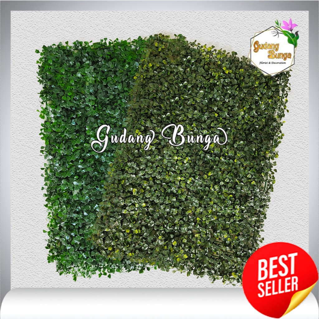 Rumput Sintetis Daun Dollar 40x60 cm Aksesoris Dekorasi Taman Dinding Cafe