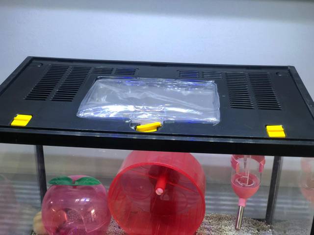 Terarium Kandang Hamster aquarium Fullset medium Kandang Hamster unik