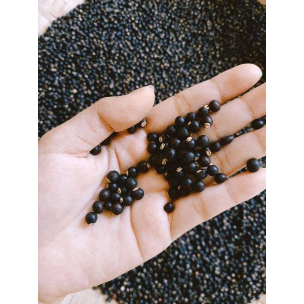 

SAYUR_UNDIS