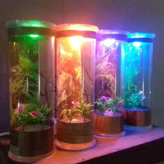 Aquarium Mini