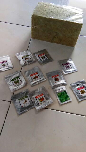 Benih Biji Ciplukan Pack - Gp