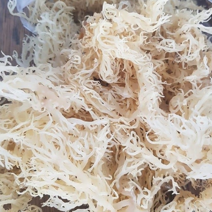 

Rumput Laut Kering 250 Gram / Seaweed / Agar Agar Rumput Laut