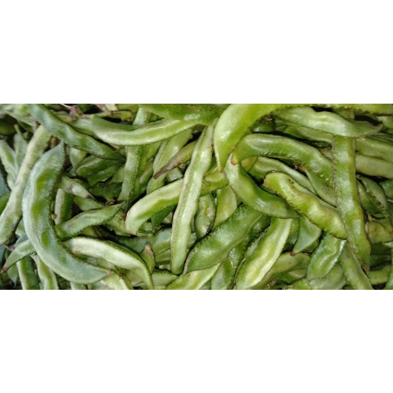 

Sayur Koro uceng 500gram