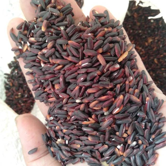 

Beras Hitam Organic
