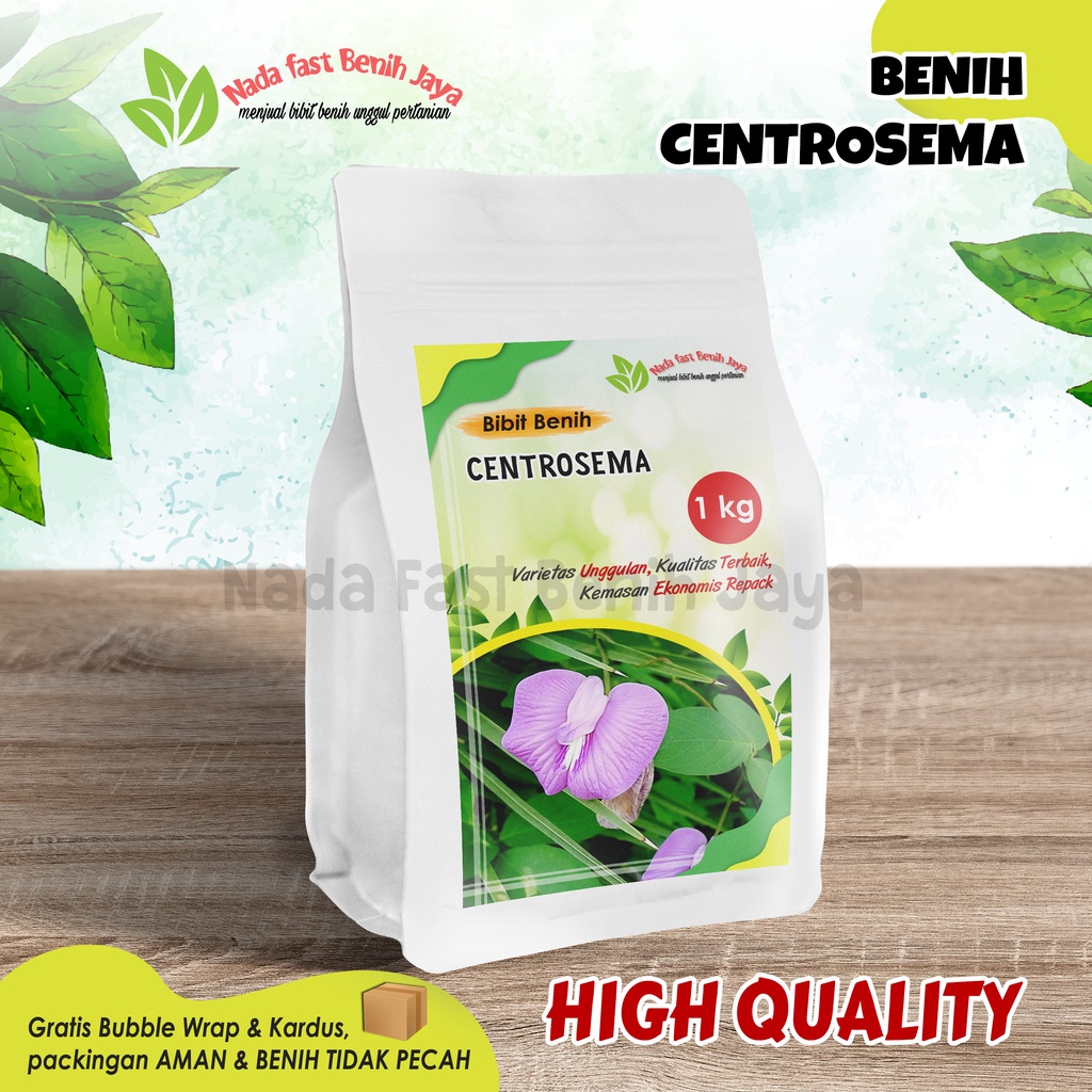 1 Kg Benih centrosema pakan ternak / bibit biji centrosema super