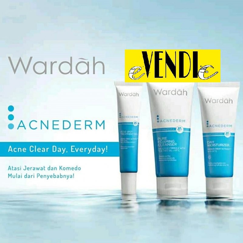 CREAM SIANG WARDAH ACNEDERM DAY MOISTURIZER