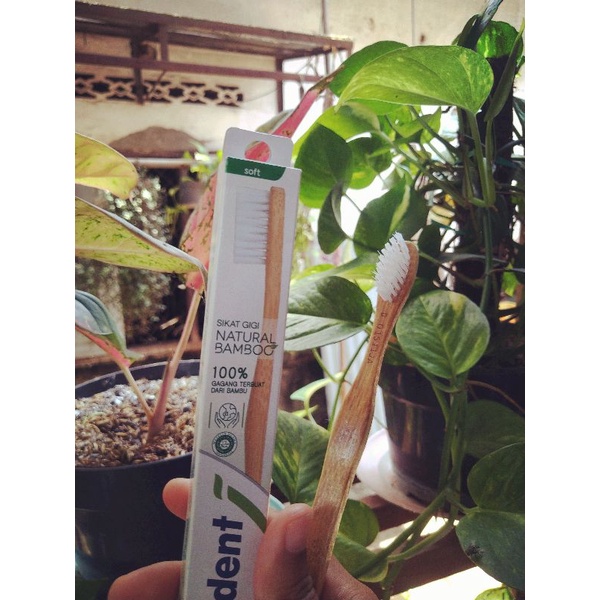 Sikat Gigi Natural Bambu Soft - Pepsodent Bamboo Eco-friendly Tootbrush