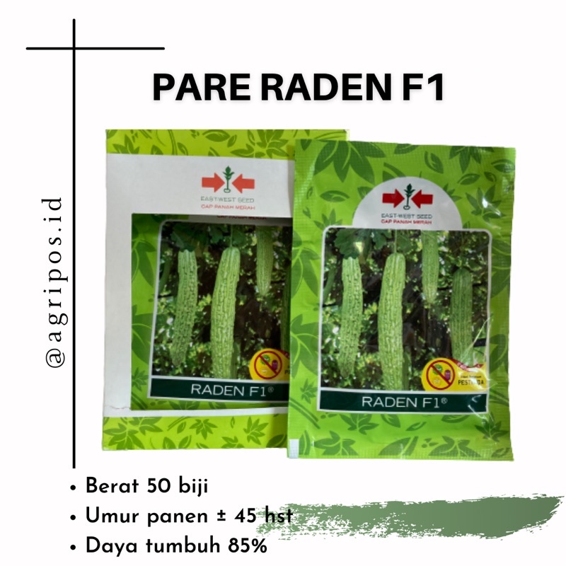 BENIH PARE RADEN F1 CAP PANAH MERAH