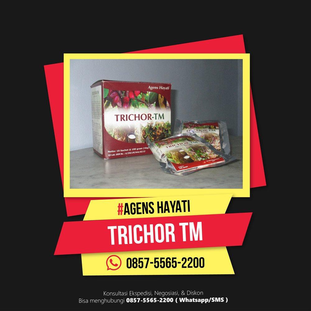 Trichor Tm Pengendali Penyakit Oleh Jamur Dan Bakteri Untuk