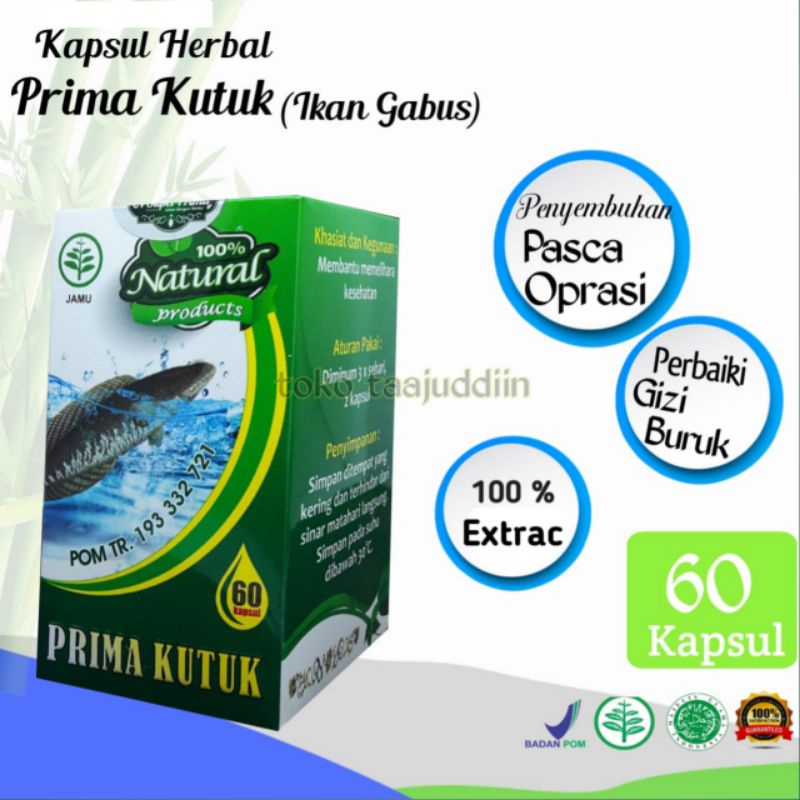 

Kapsul Ekstrak Ikan Kutuk Gabus 60kaps New Albumin ORIGINAL Penyembuhan Cepat Pasca Oprasi Ampuh