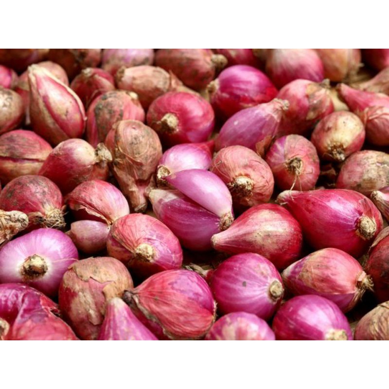 

bawang merah reguler 250gram