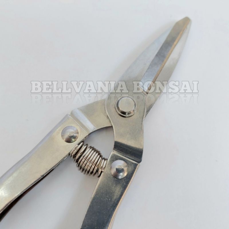 Gunting Prunning Bonsai Bahan Stainless Steel