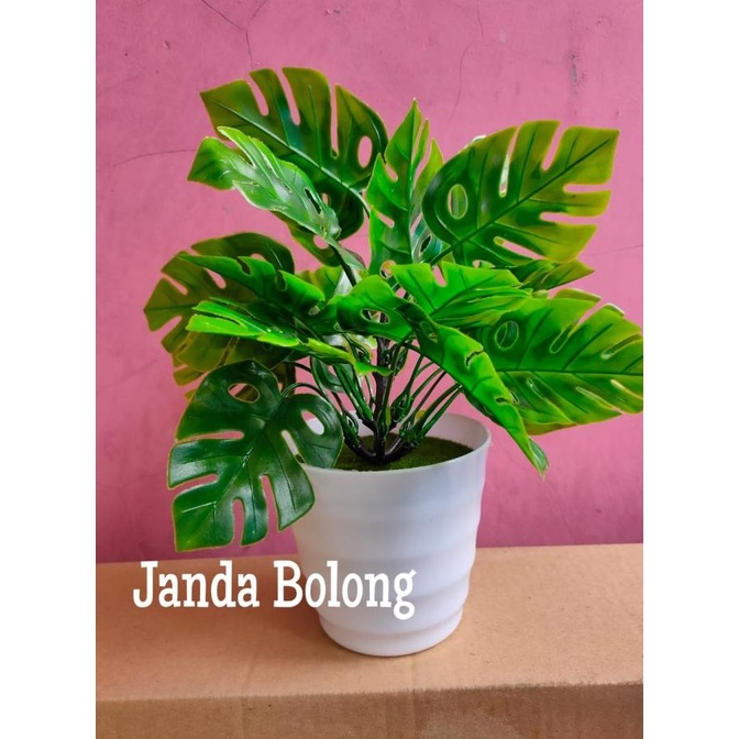 Bunga Plastik Hias Tanaman pot Bonsai Monstera Janda Bolong Palem PROMO SPECIAL Kode 400