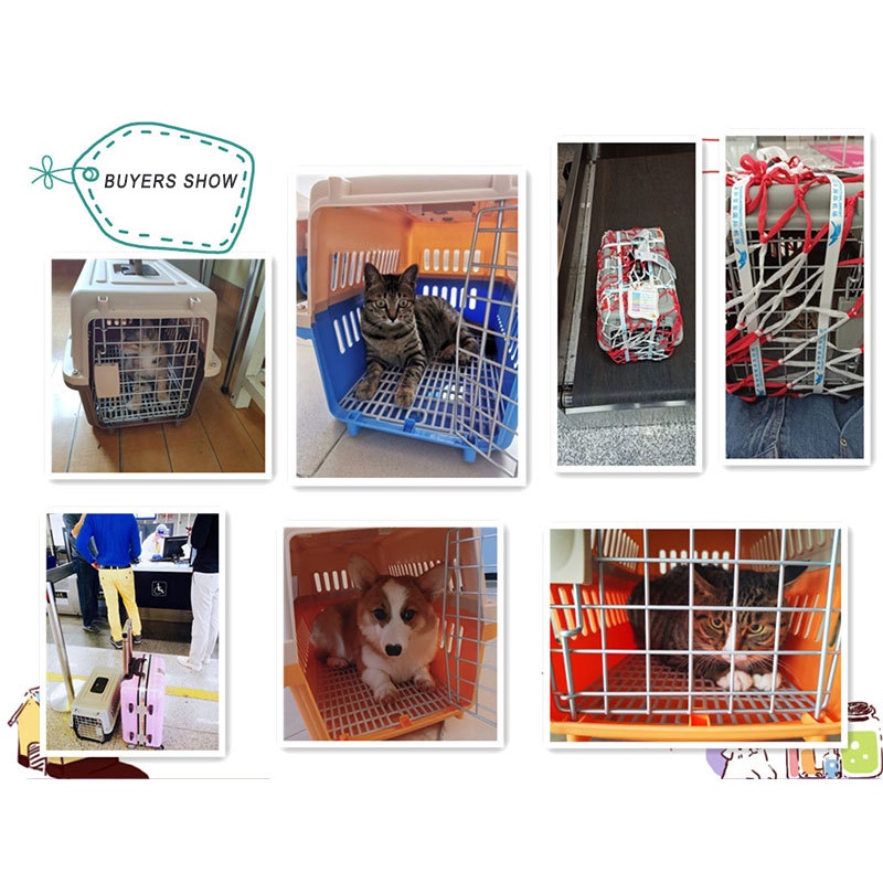 Pet Cargo Kandang kucing Pet carrier Kandang kelinci Kandang musang Ada pintu besi 30*32*48cm