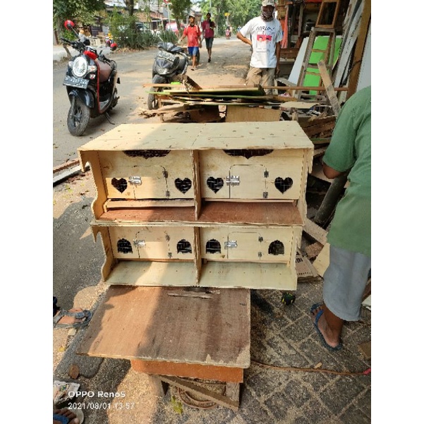 kandang burung dara pintu 2