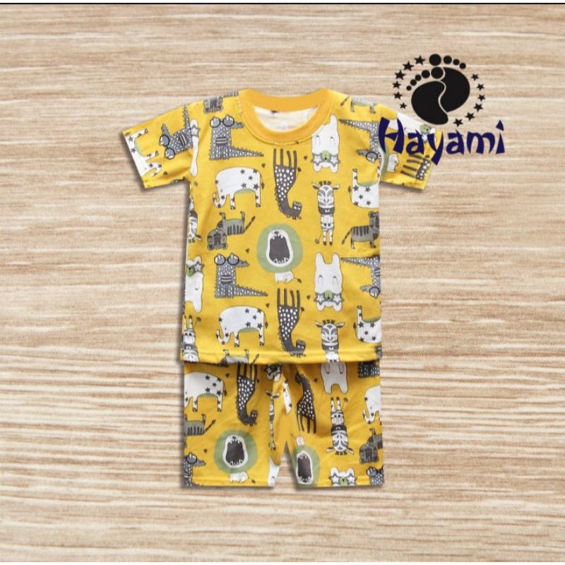 Setelan Anak Cowok Hayami