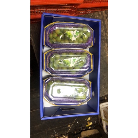 

Anggur Muscat Per Pack