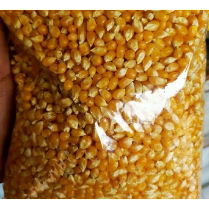 

100 gr jagung popcorn mentah siap masak kwalitas terbaik